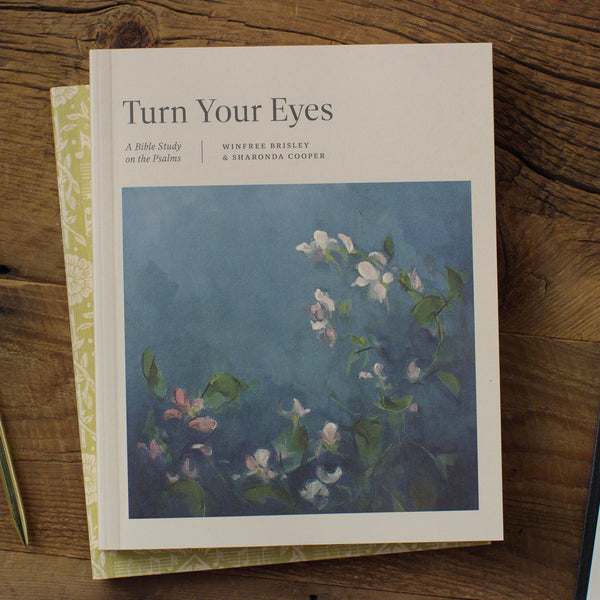 Turn Your Eyes: A Bible Study on the Psalms