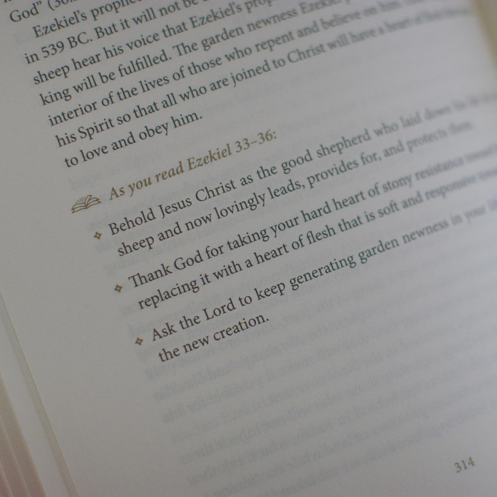 Beholding Christ: A Daily Guide to Seeing Jesus in All of Scripture