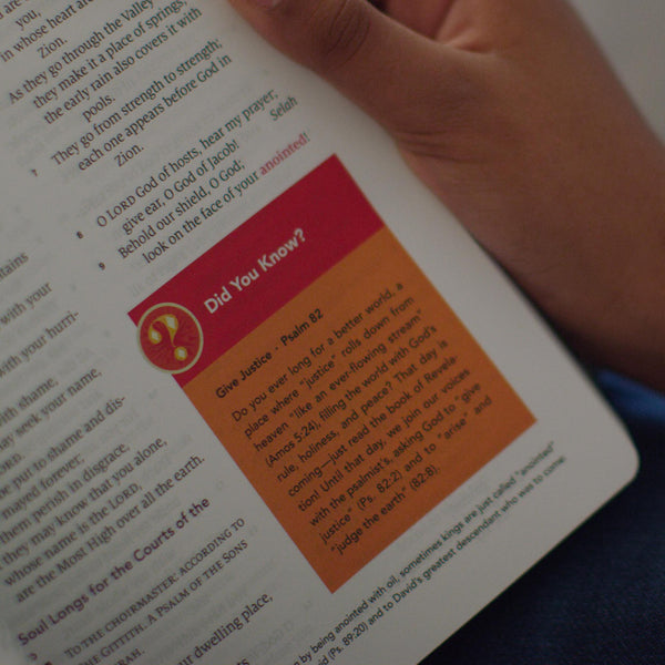 ESV The Biggest Story Holy Bible for Kids