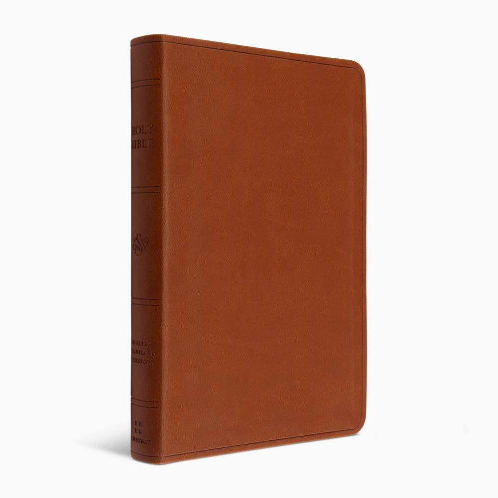 ESV Large Print Value Thinline Bible, TruTone®, Camel