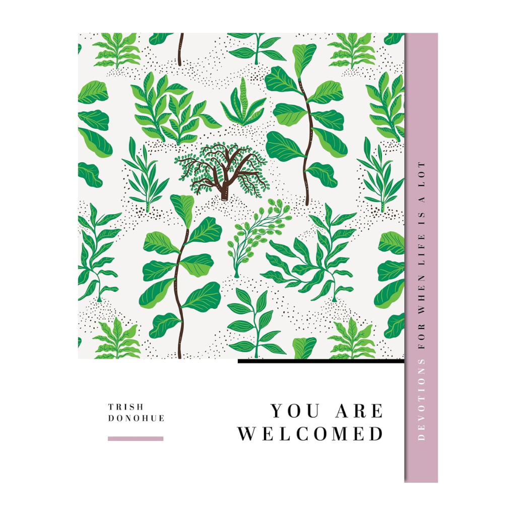 You Are Welcomed: Devotions for When Life Is a Lot