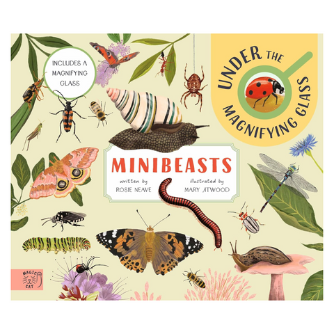 Minibeasts: Under the Magnifying Glass