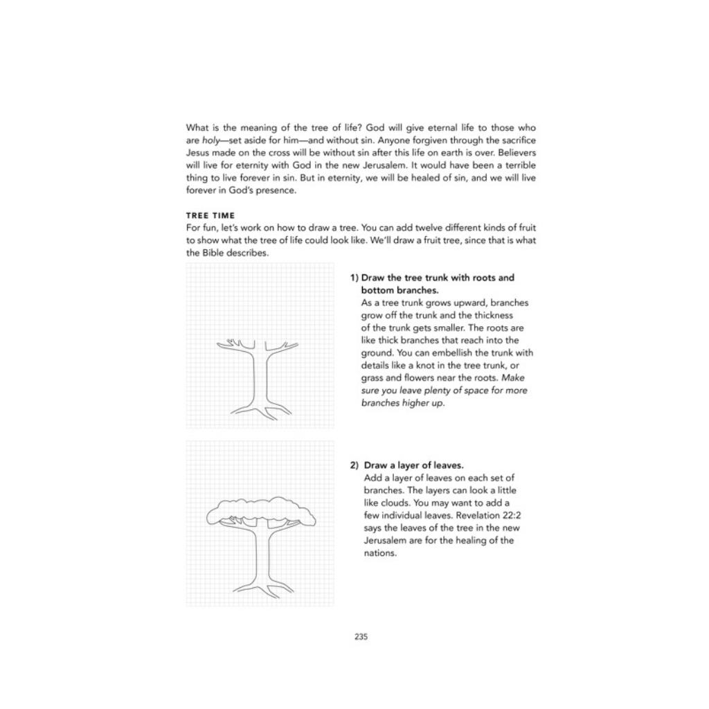 Bible Investigators: Creation