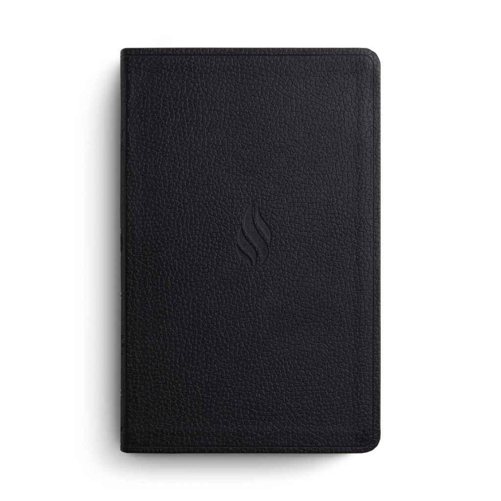 ESV Premium Gift Bible, TruTone®, Midnight, Flame Design