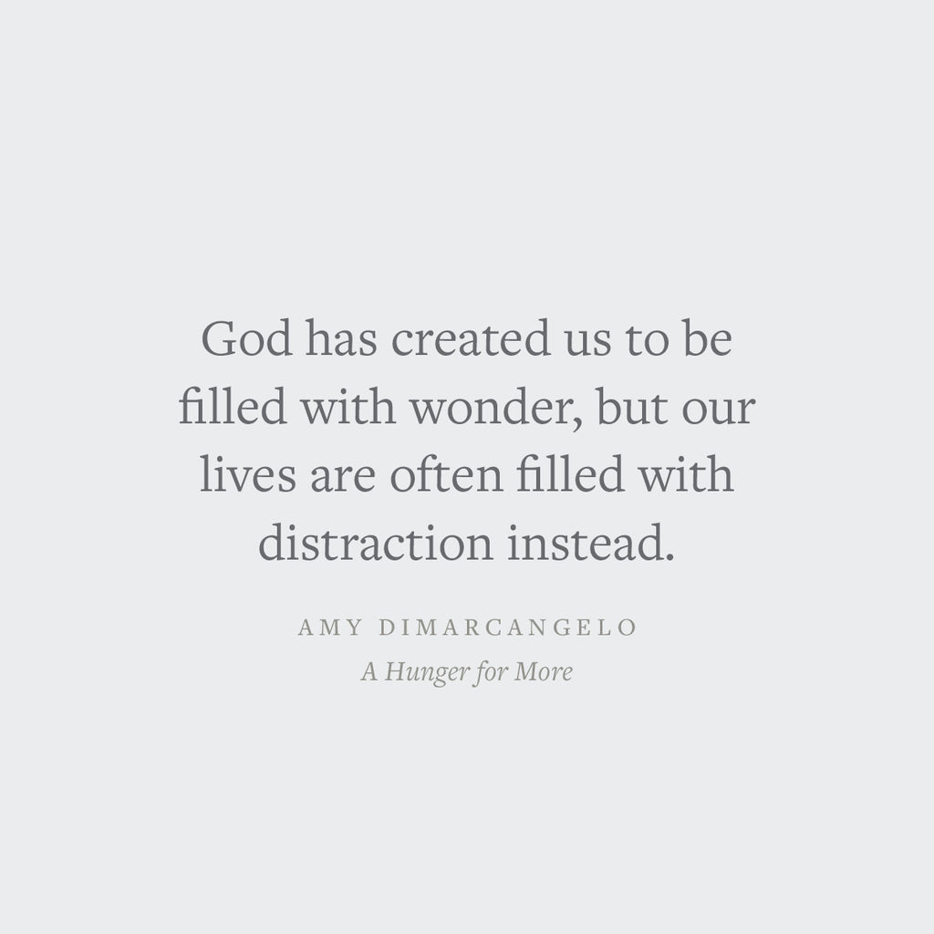 A Hunger for More: Finding Satisfaction in Jesus When the Good Life Doesn't Fill You