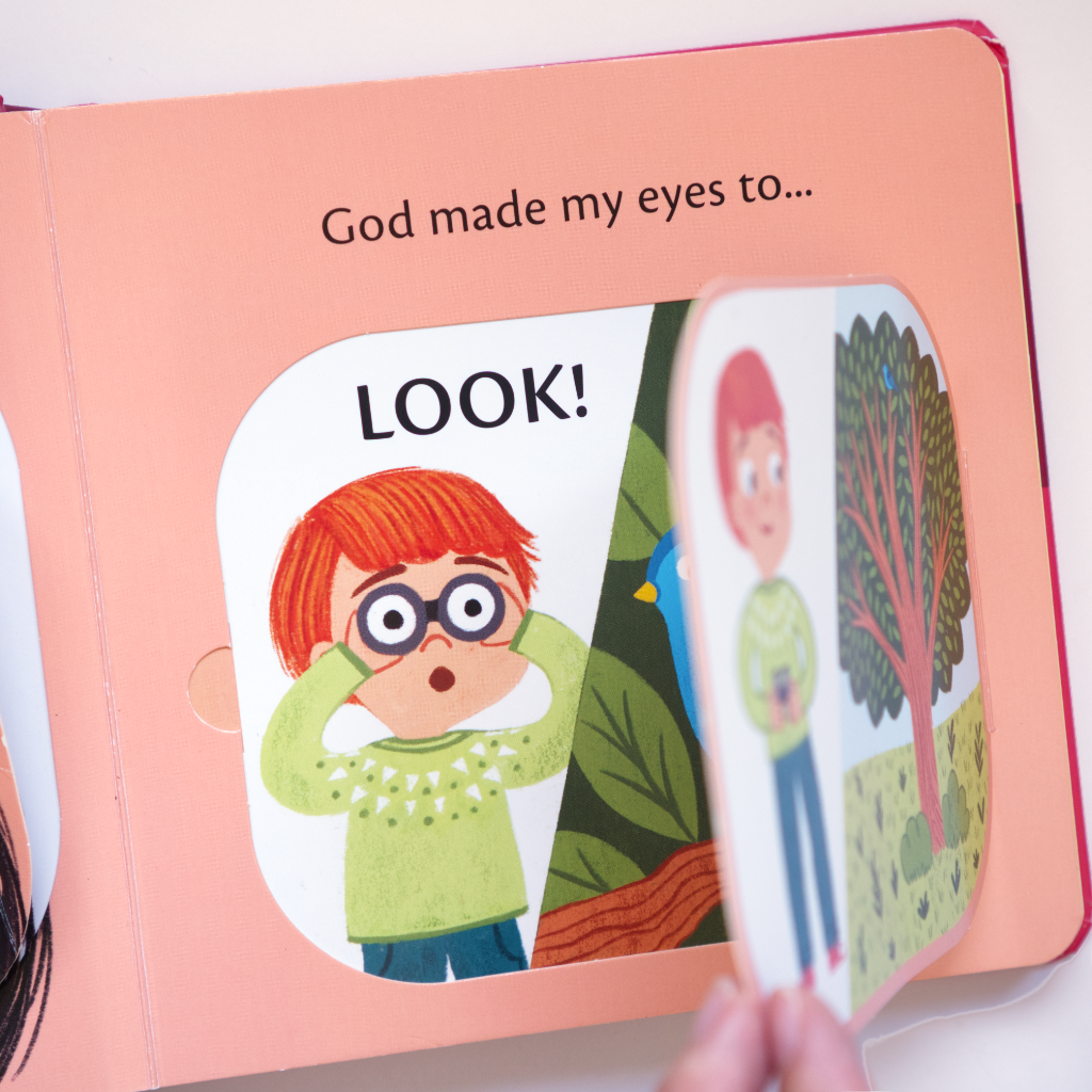 What are Eyes For? (Lift-the-Flap)