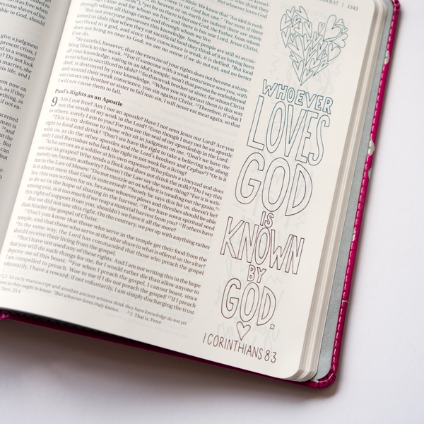 NIV Beautiful Word Coloring Bible for Girls