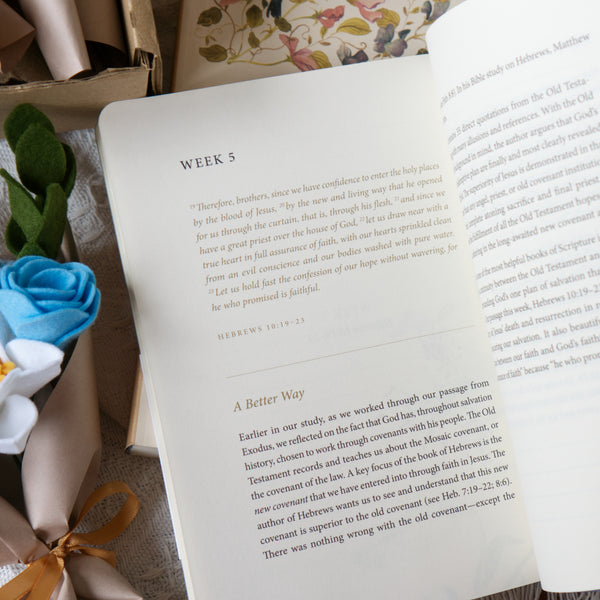 ESV Prayer Journal: 30 Days on Faith