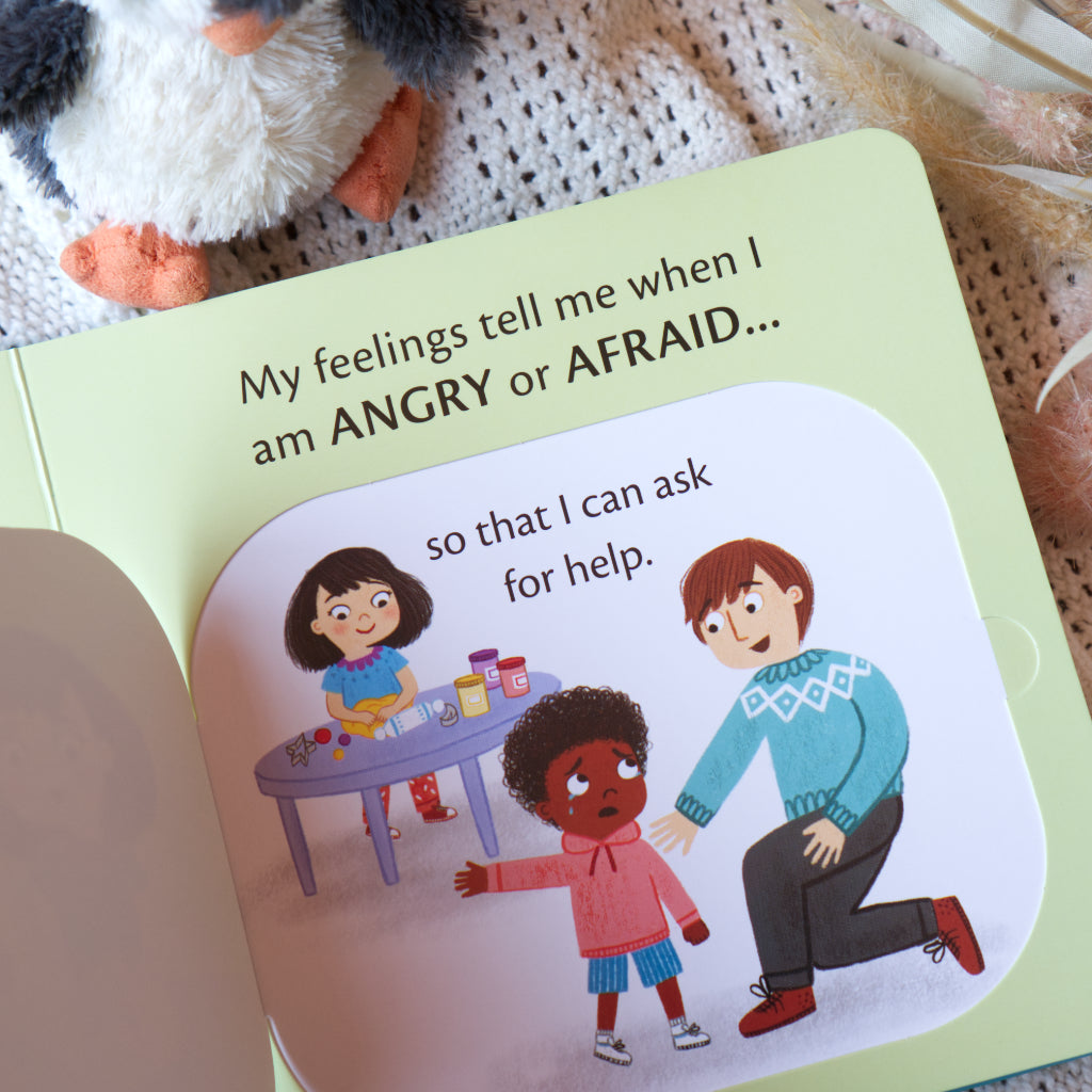 What Are Feelings For? (Lift-the-Flap)