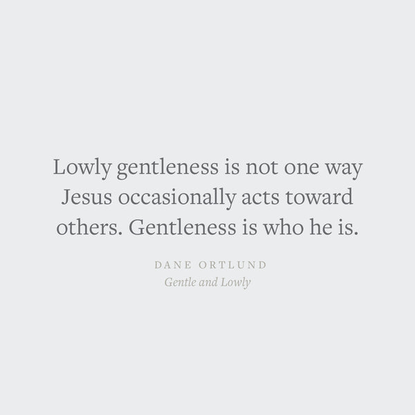 Gentle and Lowly: The Heart of Christ for Sinners and Sufferers