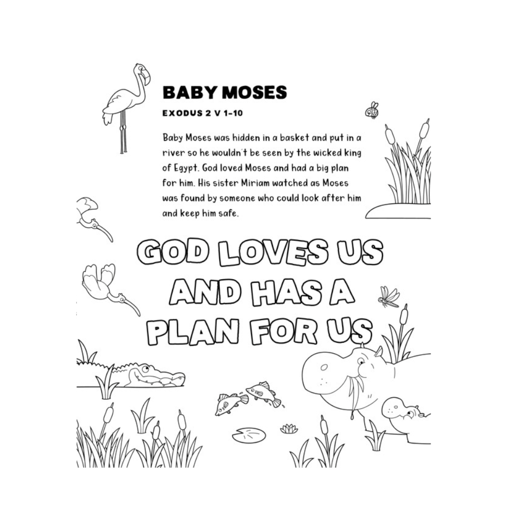 Seek and Find: Old Testament Activity Book