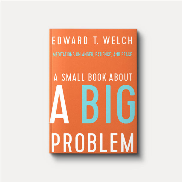 A Small Book about a Big Problem: Meditations on Anger, Patience, and Peace