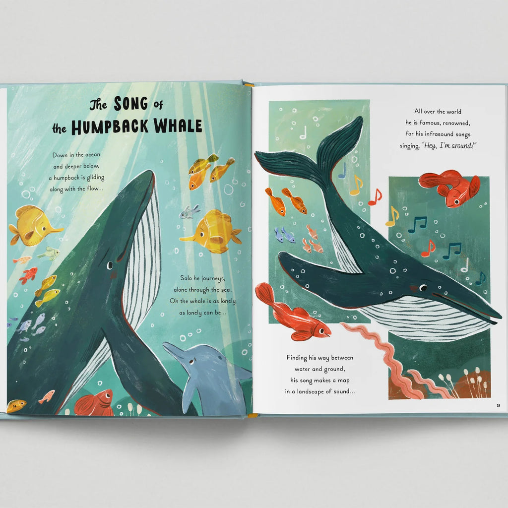 5 Minute Ocean Stories: True Tales from the Sea