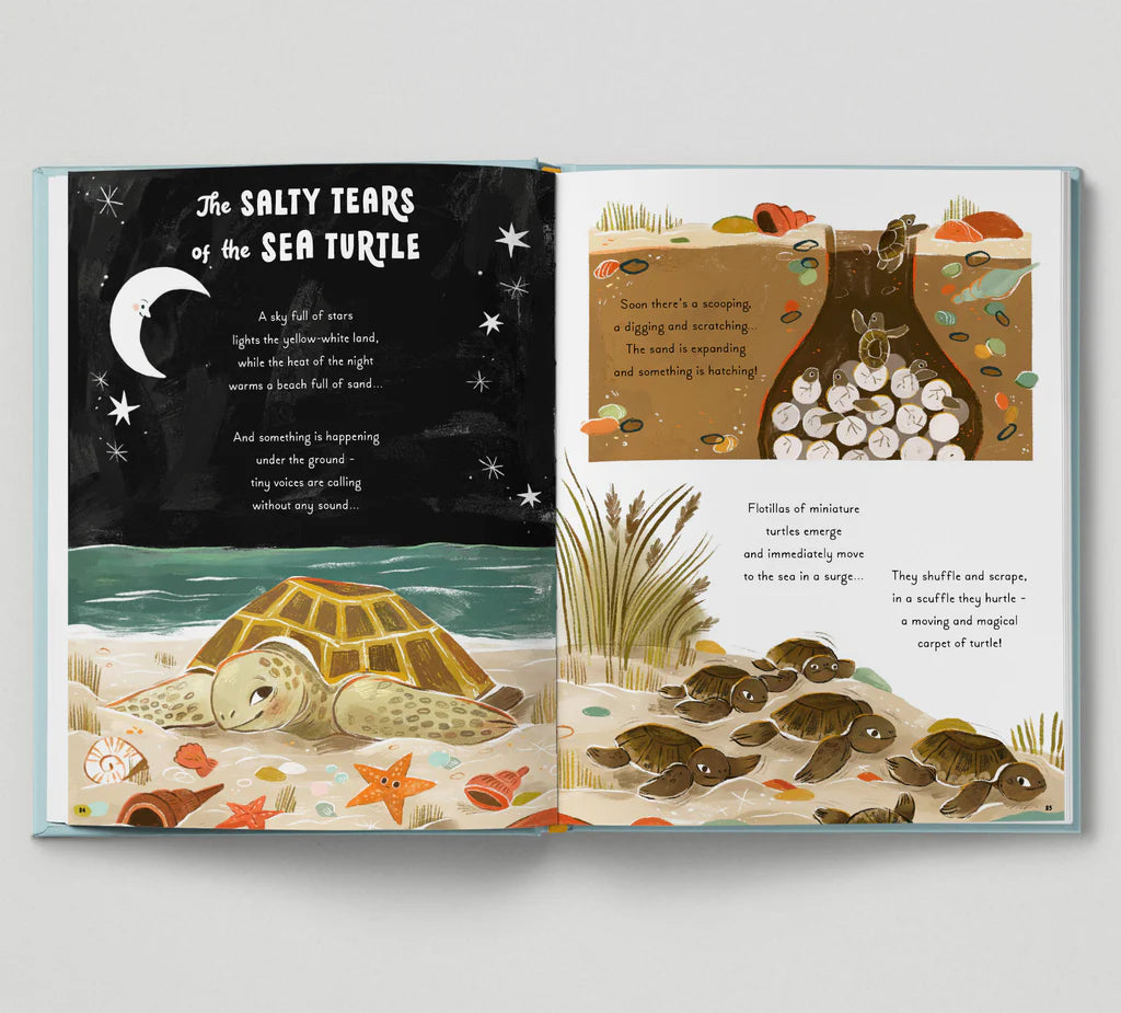 5 Minute Ocean Stories: True Tales from the Sea