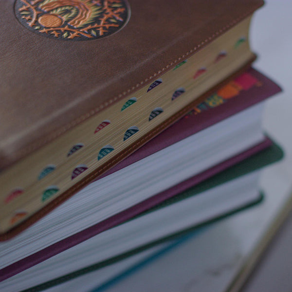 ESV The Biggest Story Holy Bible for Kids