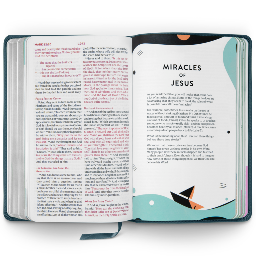 ESV Kid's Bible, Thinline TruTone®, Lion of Judah Design