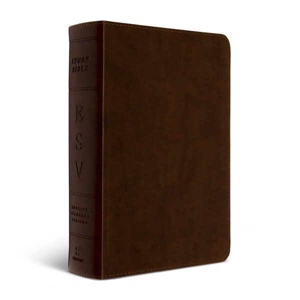 ESV Study Bible, Personal Size, TruTone®, Brown