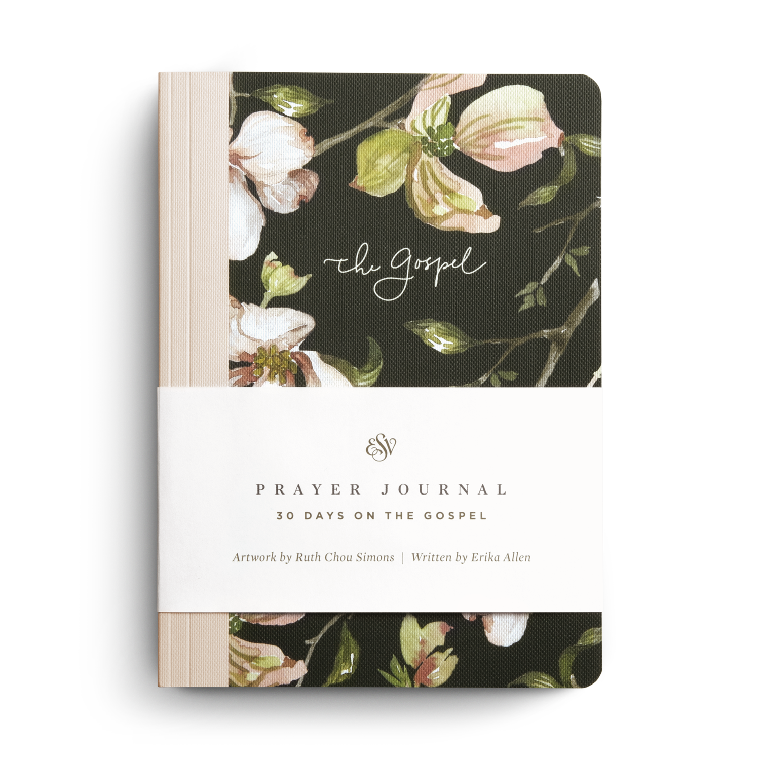 ESV Prayer Journal: 30 Days on the Gospel