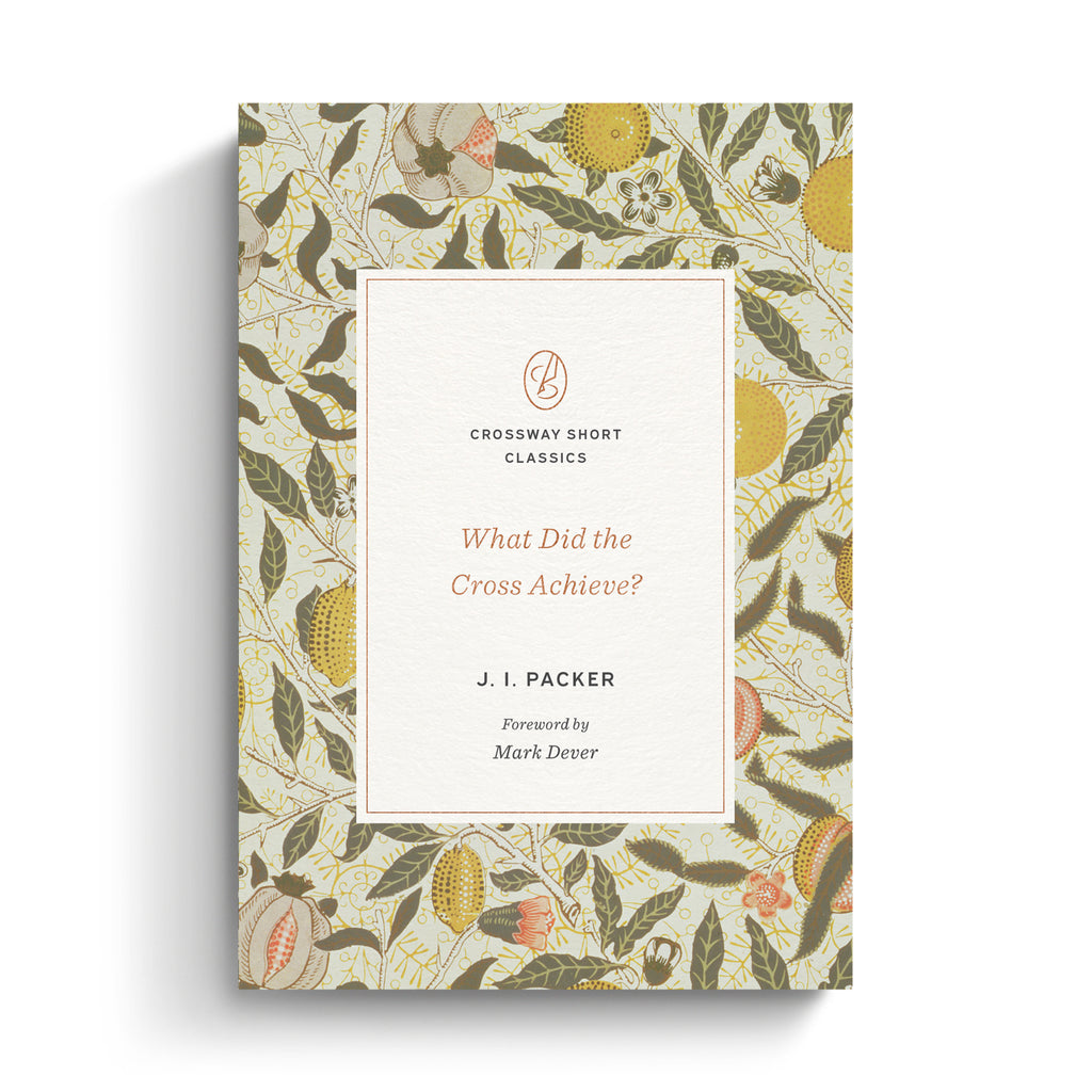 What Did the Cross Achieve?