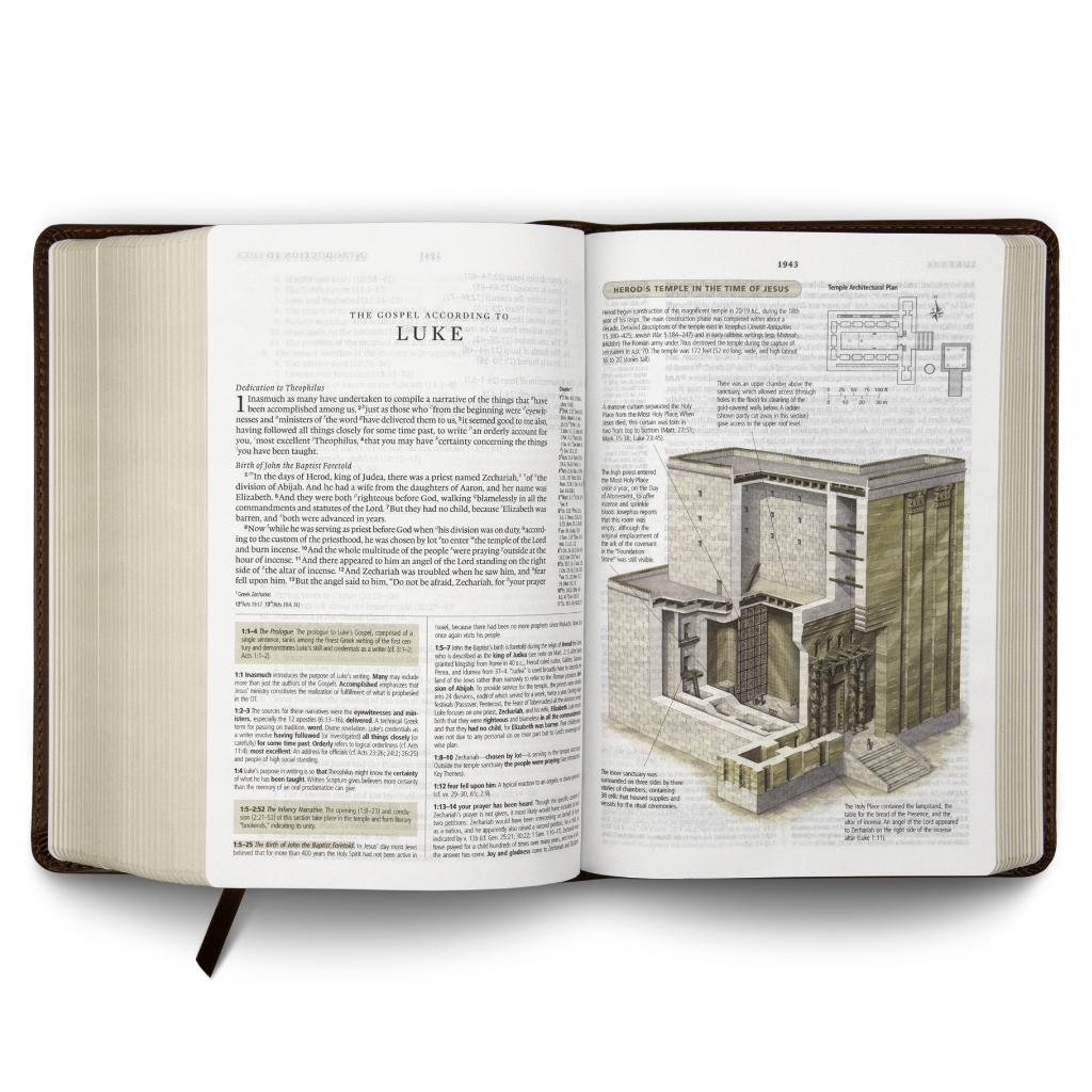 ESV Study Bible, Personal Size, TruTone®, Brown