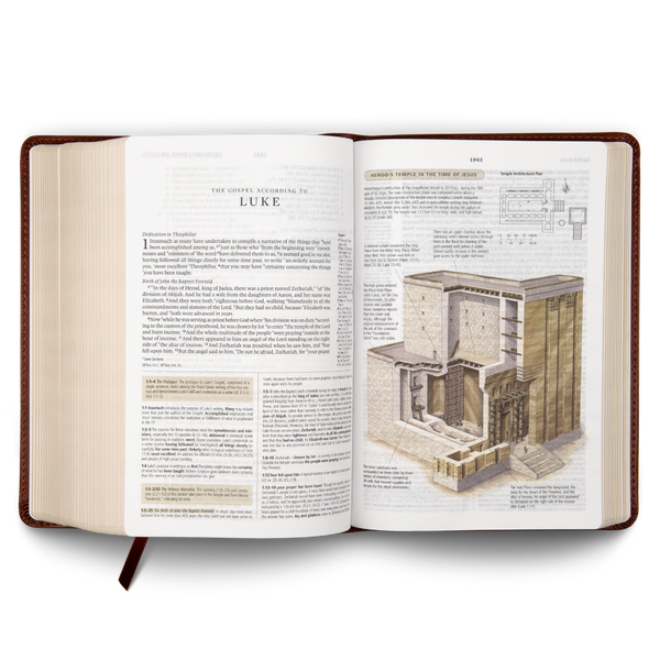 ESV Study Bible, Personal Size, TruTone®, Brown