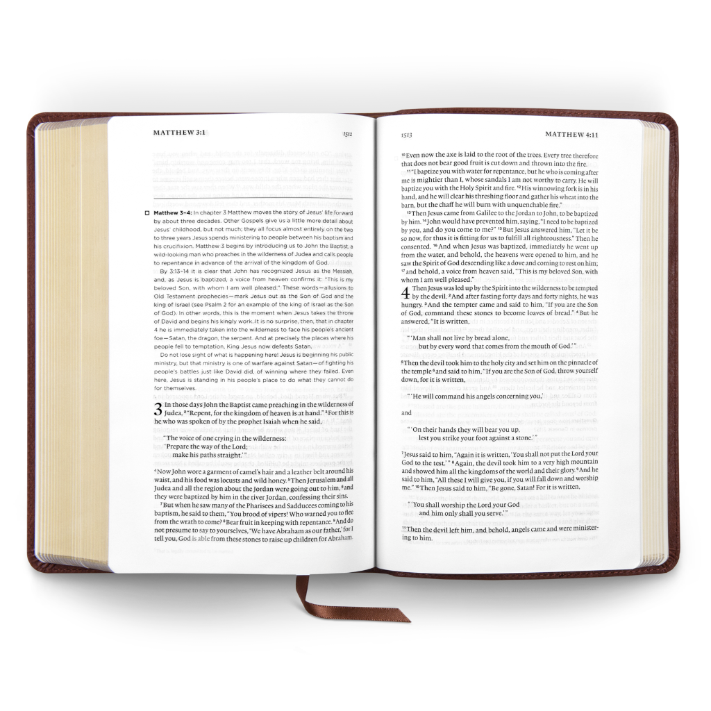 ESV Daily Reading Bible: A Guided Journey through God's Word, TruTone®, Brown