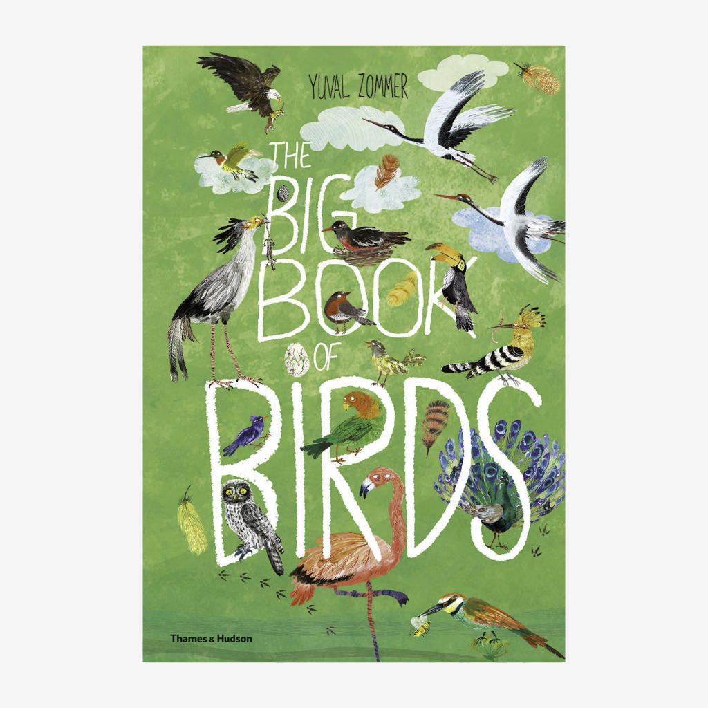 The Big Book of Birds