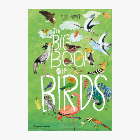 The Big Book of Birds