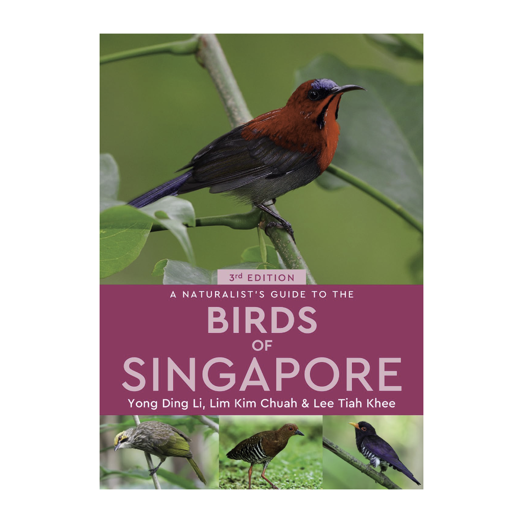 Birds of Singapore