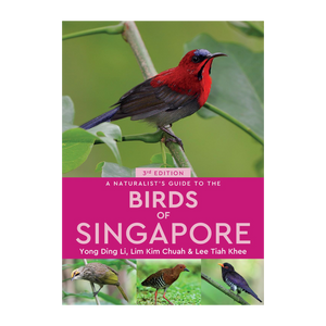 Birds of Singapore