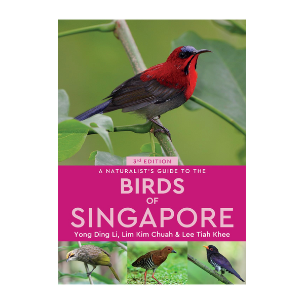 Birds of Singapore