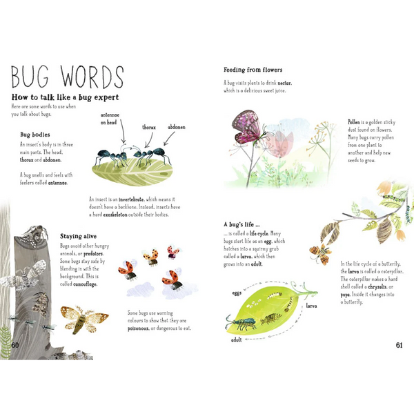 The Big Book of Bugs