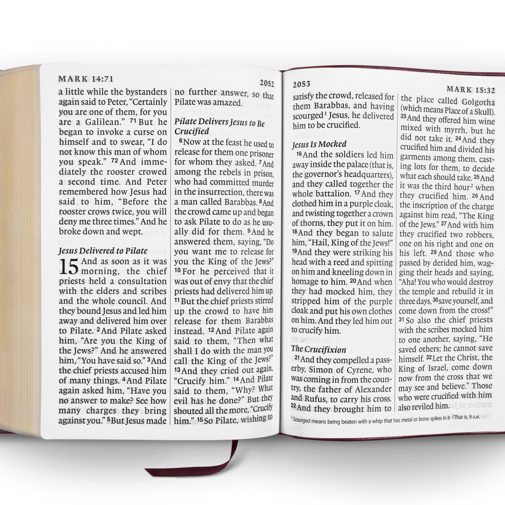 ESV Super Giant Print Bible TruTone®, Burgundy