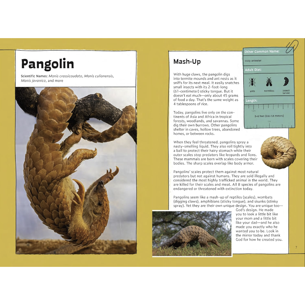 Quirky Critter Devotions: 52 Wild Wonders for Kids