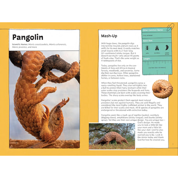 Quirky Critter Devotions: 52 Wild Wonders for Kids