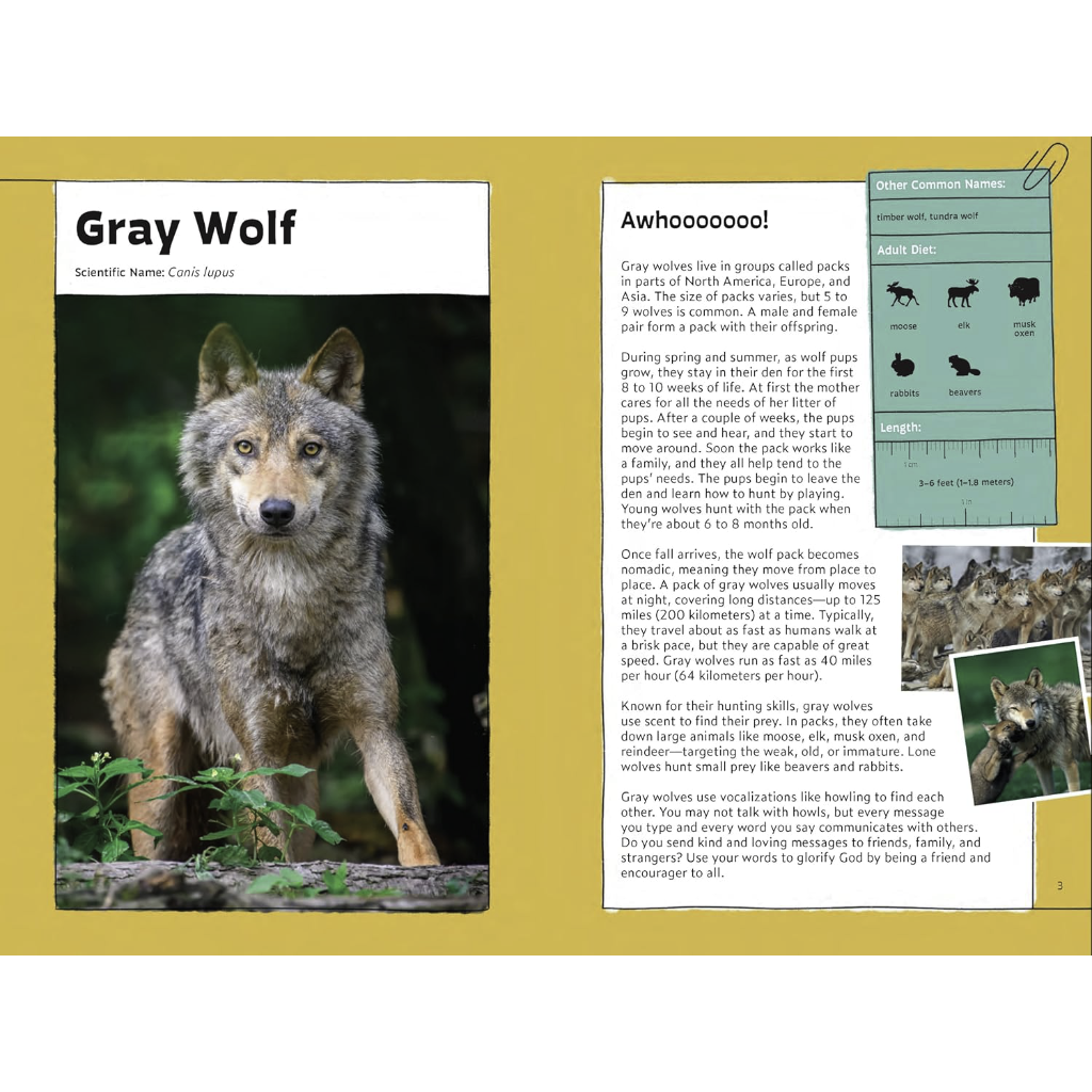 Quirky Critter Devotions: 52 Wild Wonders for Kids