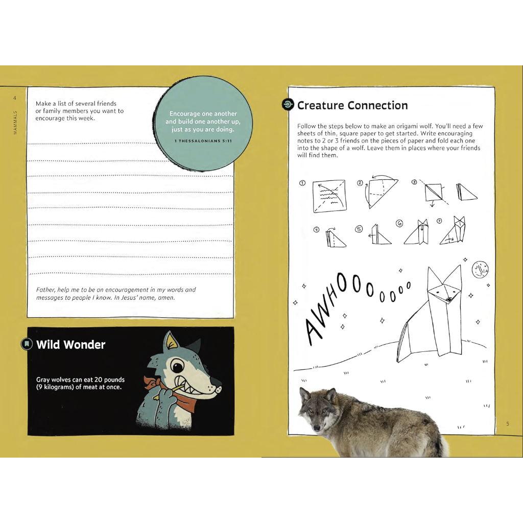 Quirky Critter Devotions: 52 Wild Wonders for Kids