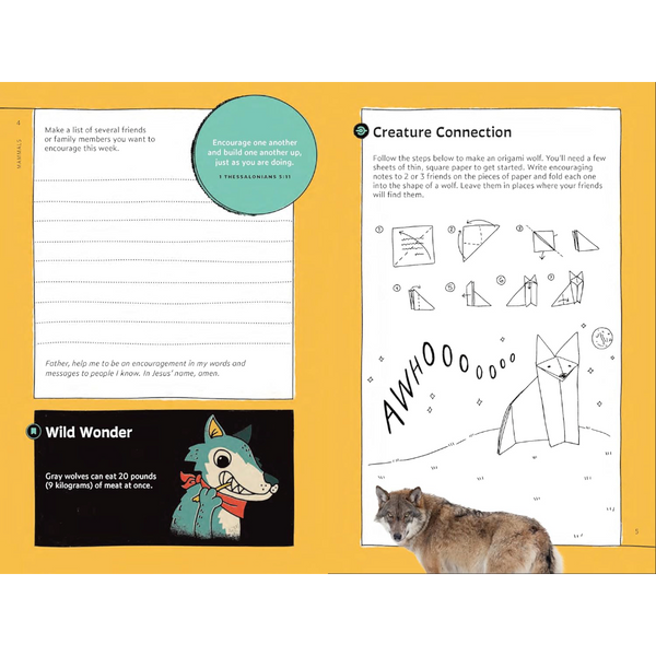 Quirky Critter Devotions: 52 Wild Wonders for Kids