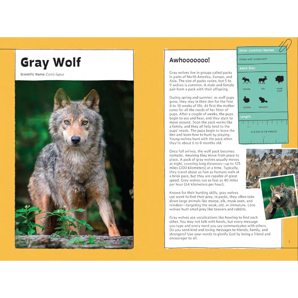 Quirky Critter Devotions: 52 Wild Wonders for Kids