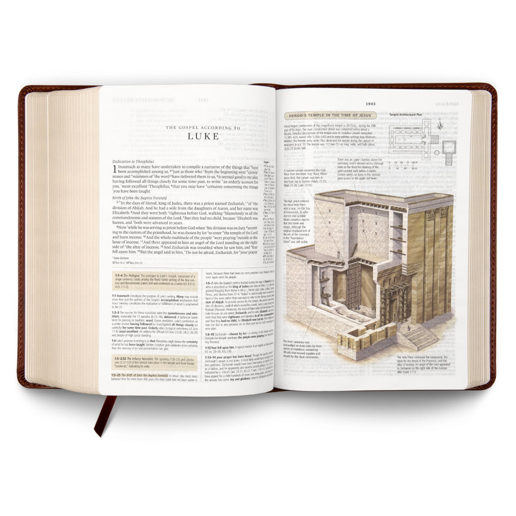ESV Study Bible, Personal Size, TruTone®, Saddle, Ornament Design