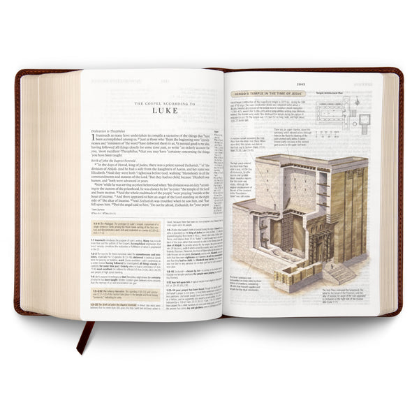 ESV Study Bible, Personal Size, TruTone®, Saddle, Ornament Design