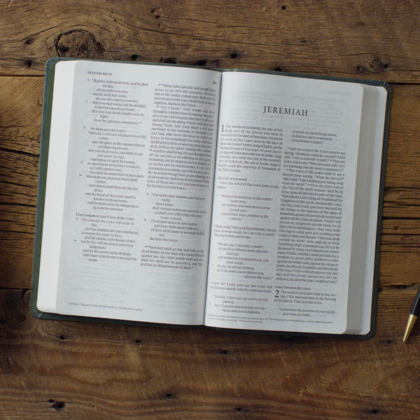 ESV Large Print Value Thinline Bible, TruTone®, Quiet Forest, Ornament Design