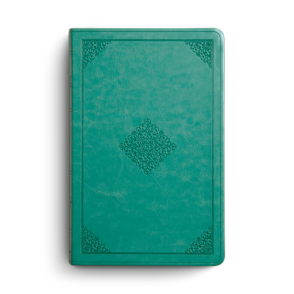 ESV Value Thinline Bible, TruTone®, Teal, Ornament Design