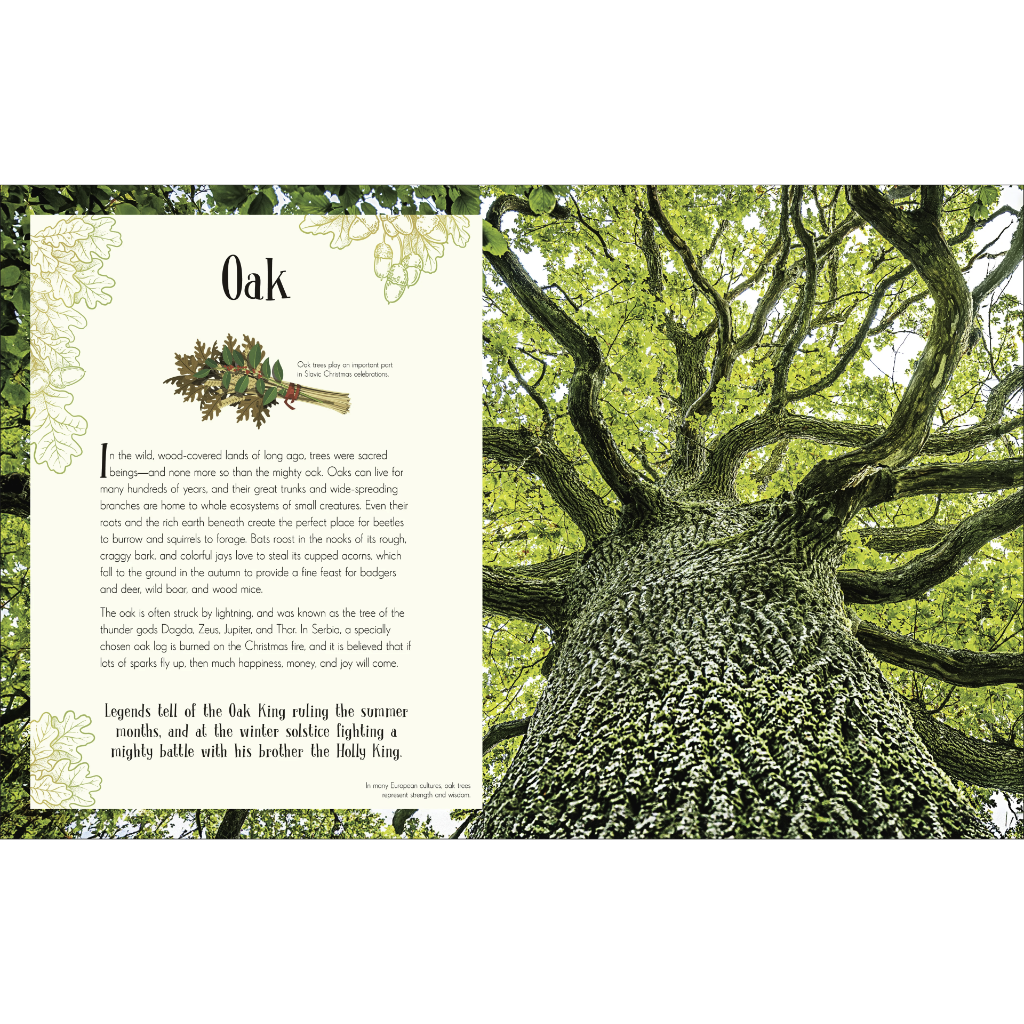 An Anthology of Christmas