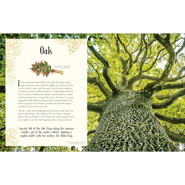 An Anthology of Christmas