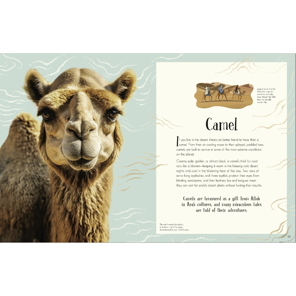 An Anthology of Christmas