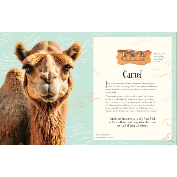 An Anthology of Christmas