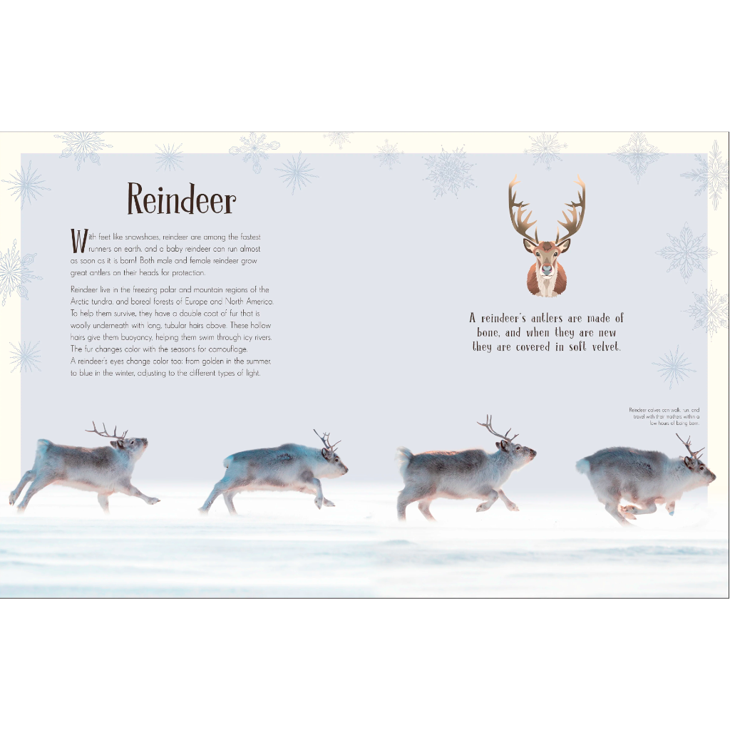 An Anthology of Christmas