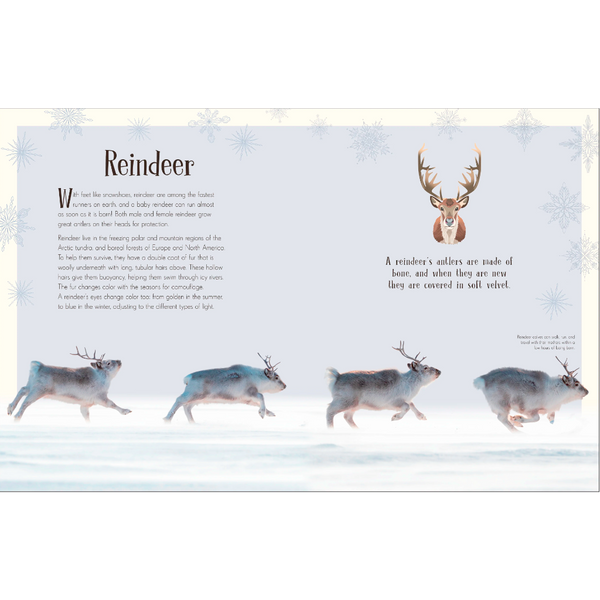 An Anthology of Christmas