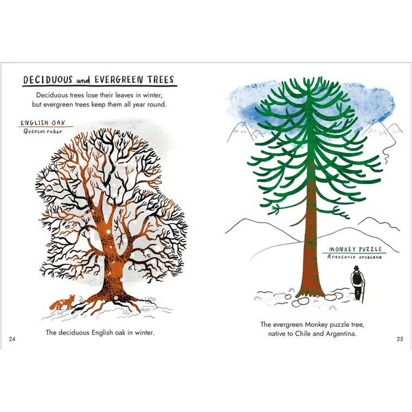 Hello Trees A Little Guide to Nature